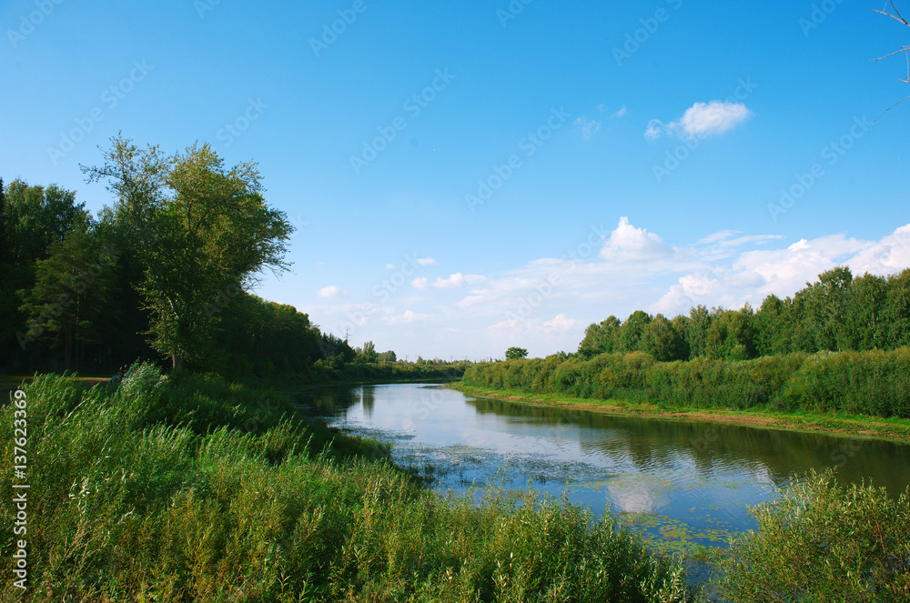 grassy river summer sunny day under the blue sky among green trees and tall grass grassy river summer sunny day under the blue sky among green trees and tall grass