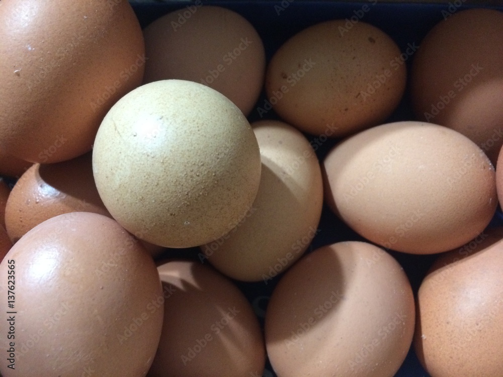 Brown Eggs