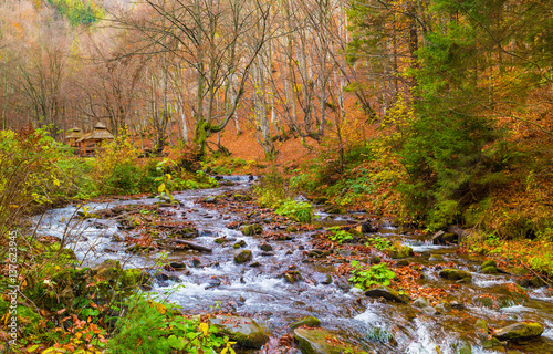 Fototapeta Naklejka Na Ścianę i Meble -  Autumn forest with river