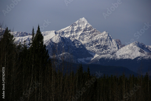 Mt. Edith Cavell photo