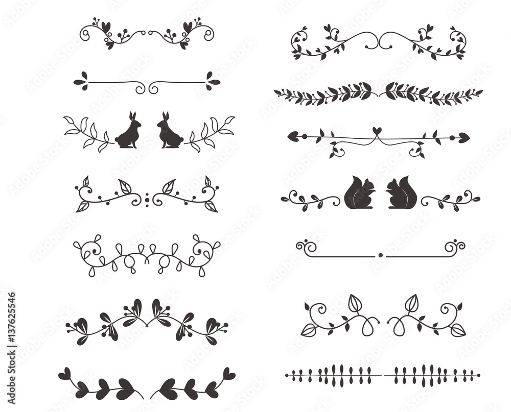Vector dividers calligraphic line element.
