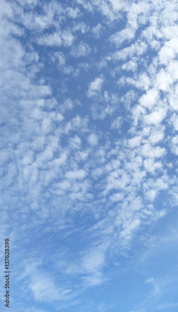 Obraz premium 空と雲