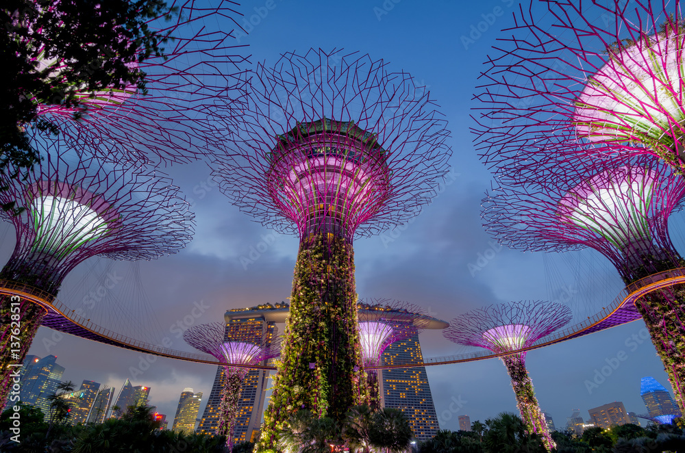 Supertree Grove at Gardens by the Bay in Singapore.