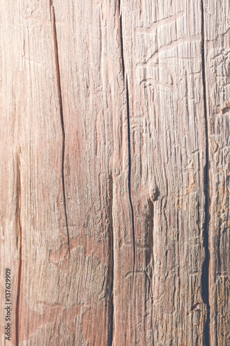 new wood texture and background ready to use