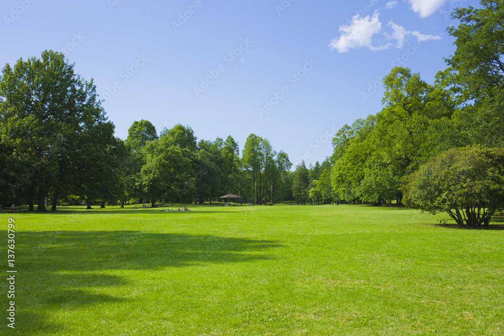 公園 新緑 公園 新緑