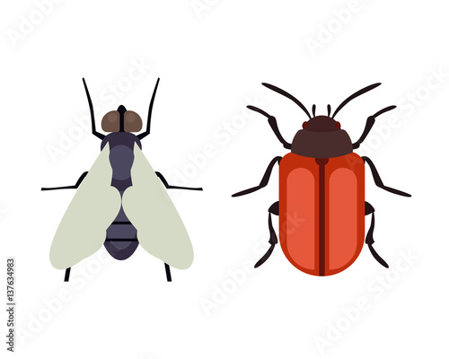 Insect icon flat isolated nature flying butterfly beetle ant and wildlife spider grasshopper or mosquito cockroach animal biology graphic vector illustration. © partyvector