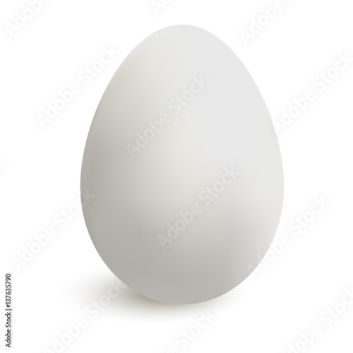 Realistic white chicken egg with shadow. Isolated on white background. Made with gradient mesh, textured. Vector illustration.