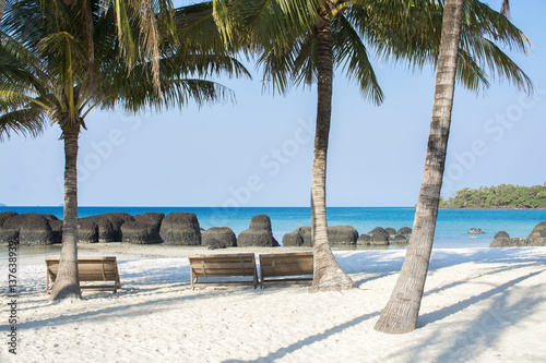 Palm trees on beach with blue sea background in summer season