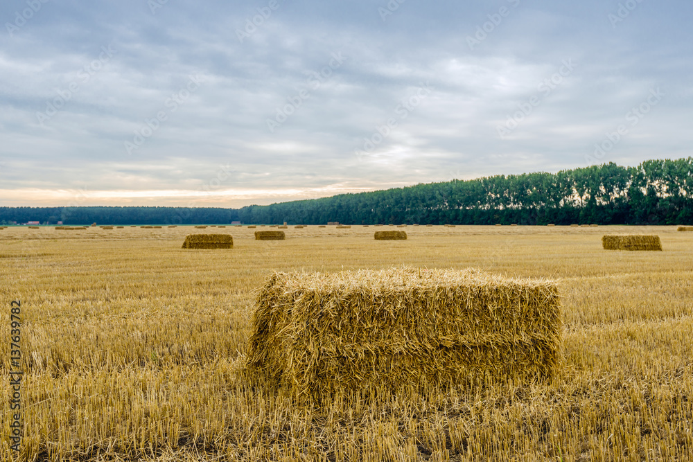 Stubble field with one bale of straw in the foreground