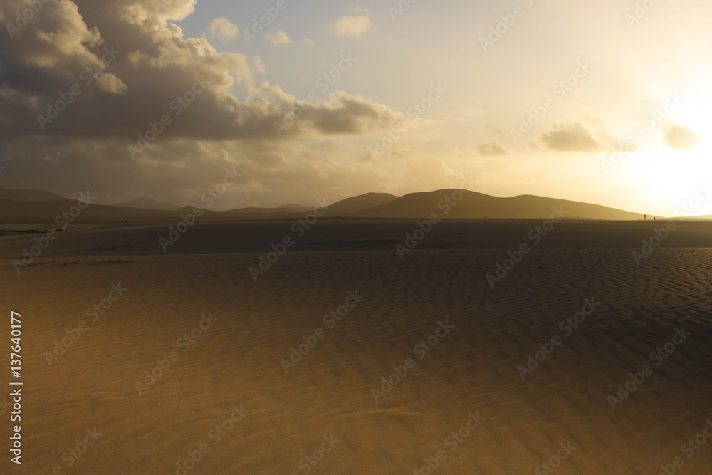 Slope hill sand on yellow dunes on blue sky background. Sustainable ecosystem. Spain, Canary islands, Fuerteventura