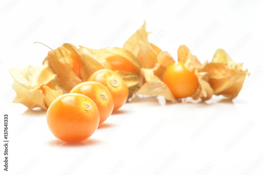 physalis isolated on white background