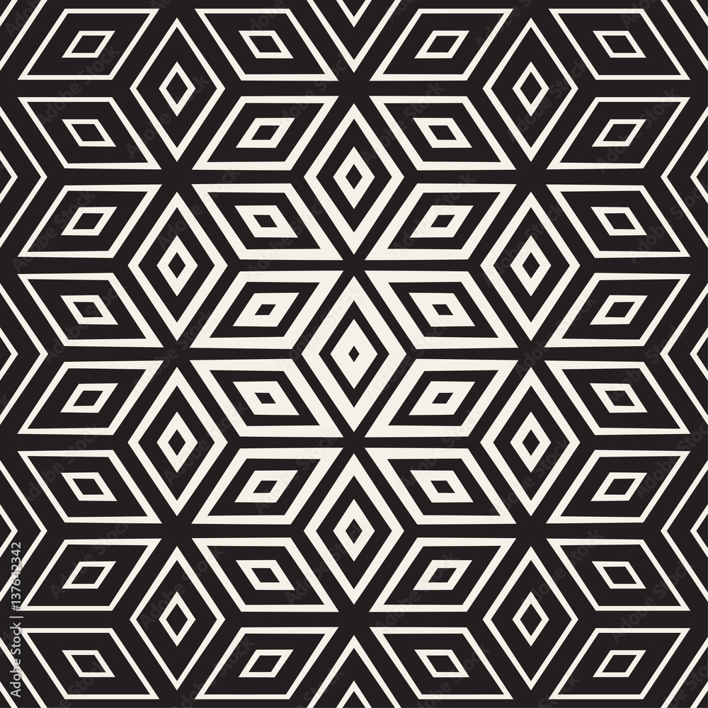Trendy Monochrome Line Lattice. Vector Seamless Black and White Pattern. Trendy Monochrome Line Lattice. Vector Seamless Black and White Pattern.