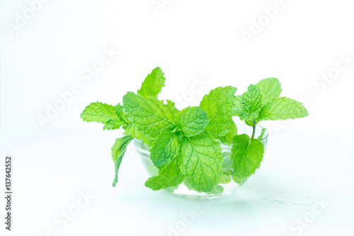 Bowl of mint leaves isolated on white background, front view,mint