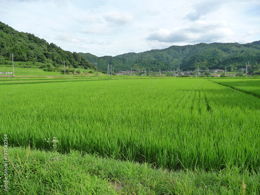 日本の原風景(鳥取県) 日本の原風景(鳥取県)