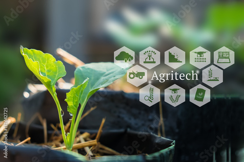 Agritech concept. Agritech messages and icons on organic vegetables farm.