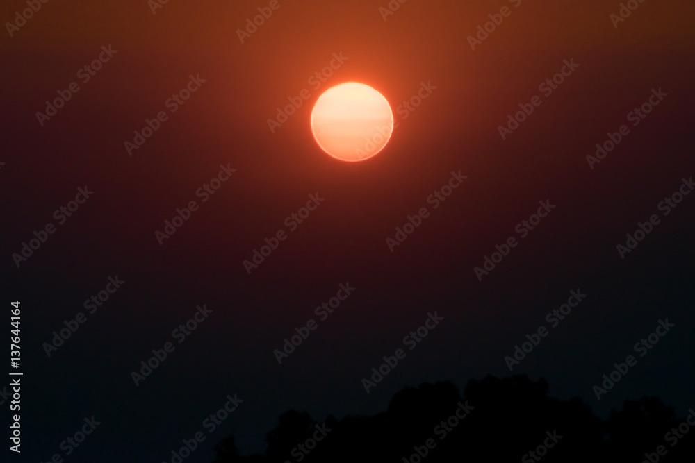 Beautiful sun over the tea, sunset shot