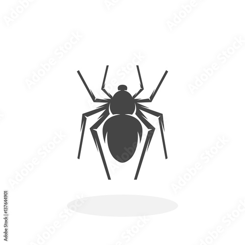 Spider Icon. Vector logo on white background