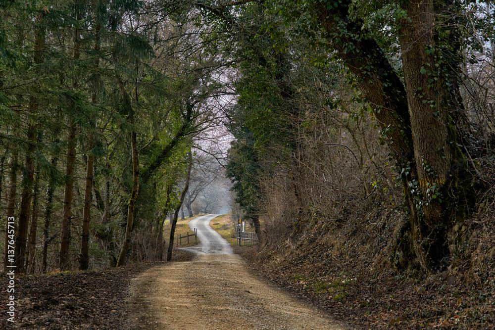 Obraz premium Blauenweid