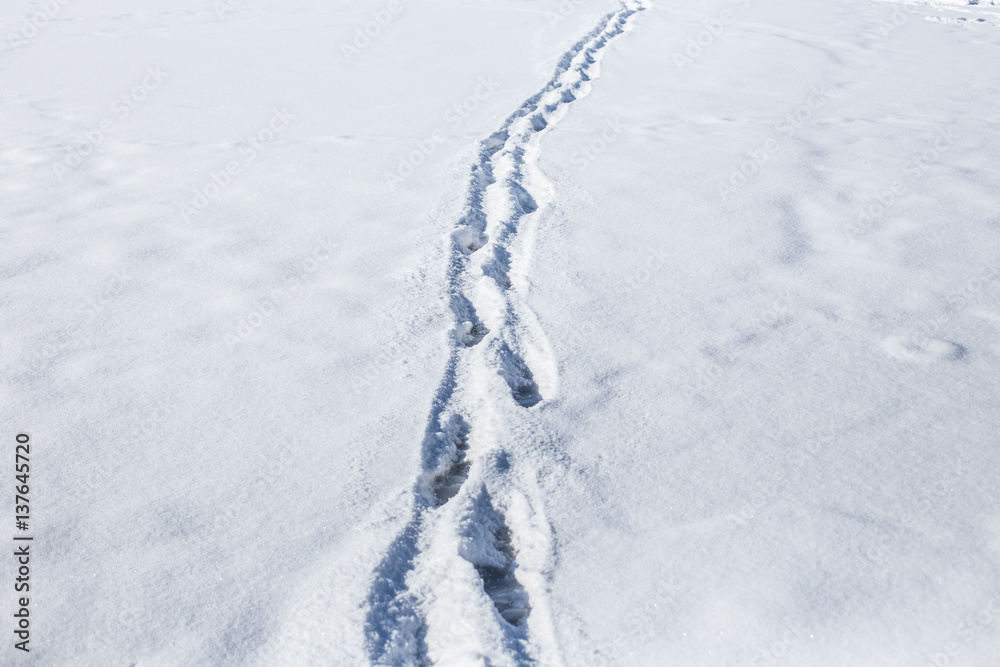 Human footprints on snow in winter.