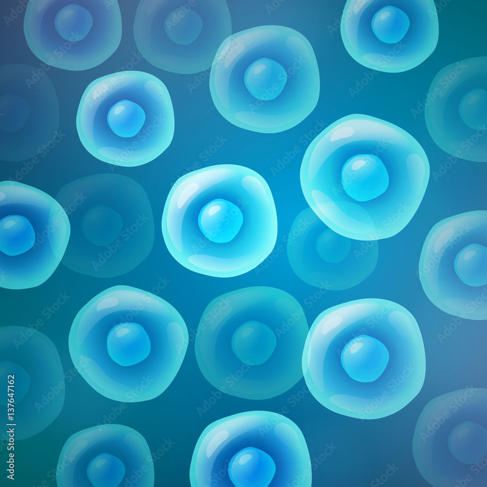 Vector Illustration of Cells Vector Illustration of Cells