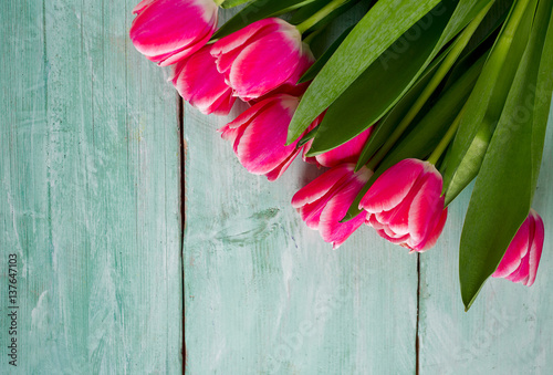pink tulips on turquoise wooden surface