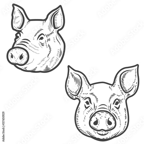 Set of pig heads isolated on white background. Pork meat. Design element for logo, label, emblem, sign, poster. Vector illustration.