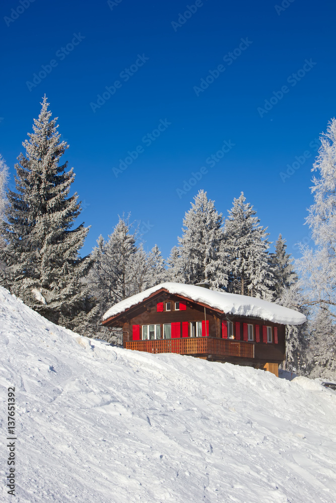 Winter in alps