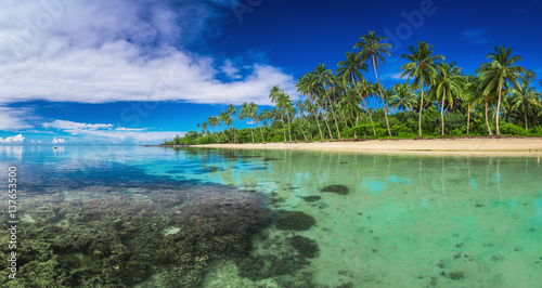 Tropical beach on Samoa Island with palm trees © Martin Valigursky