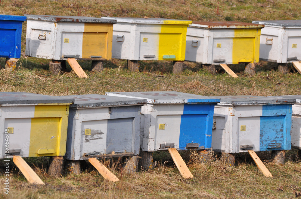 Row of colorful wooden beehives Row of colorful wooden beehives