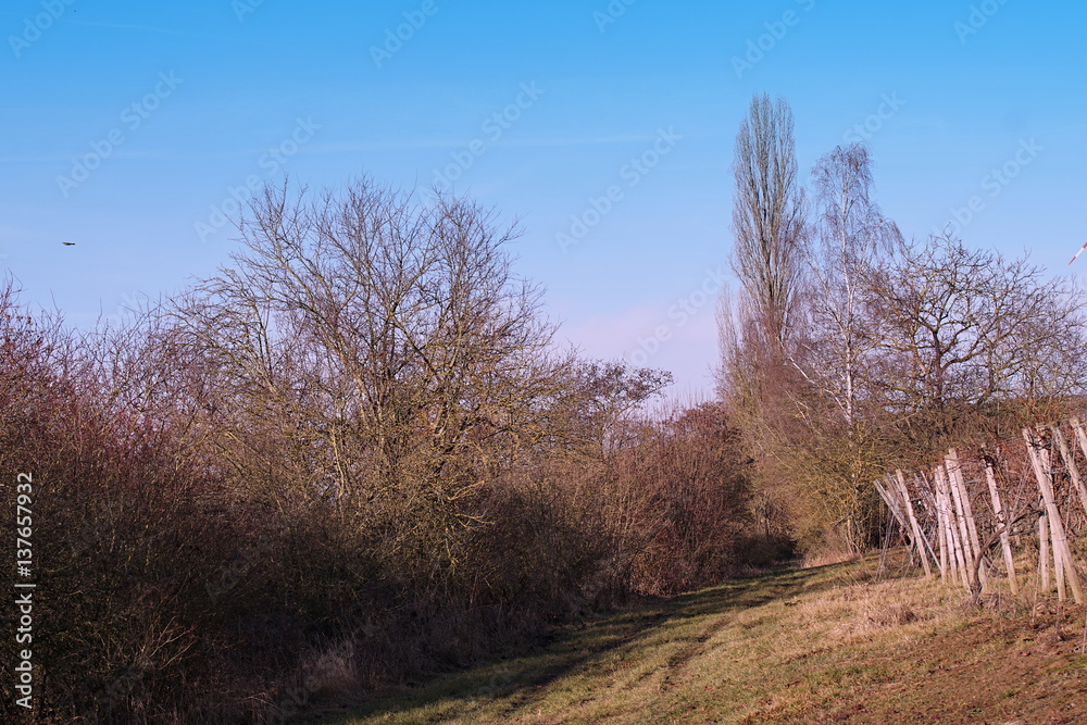 Sonnige Landschaft in Mainstockheims Westen