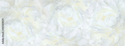 banner pink peonies