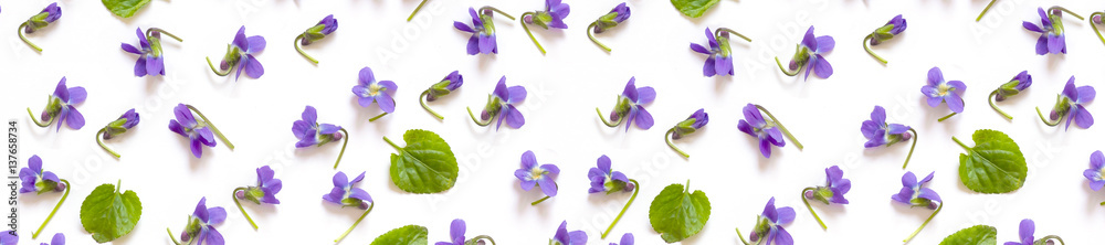 pattern panorama of violet and green leaves - obrazy, fototapety, plakaty 