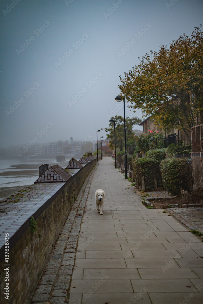 Fototapeta premium Landscape In United Kingdom