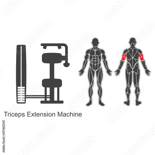 Gym triceps extension machine