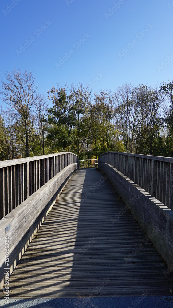 A wood bridge at a park in a sunny day