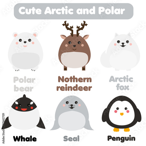 Cute kawaii arctic and polar animals. Children style, isolated design elements, vector. Seal, whale, penguin