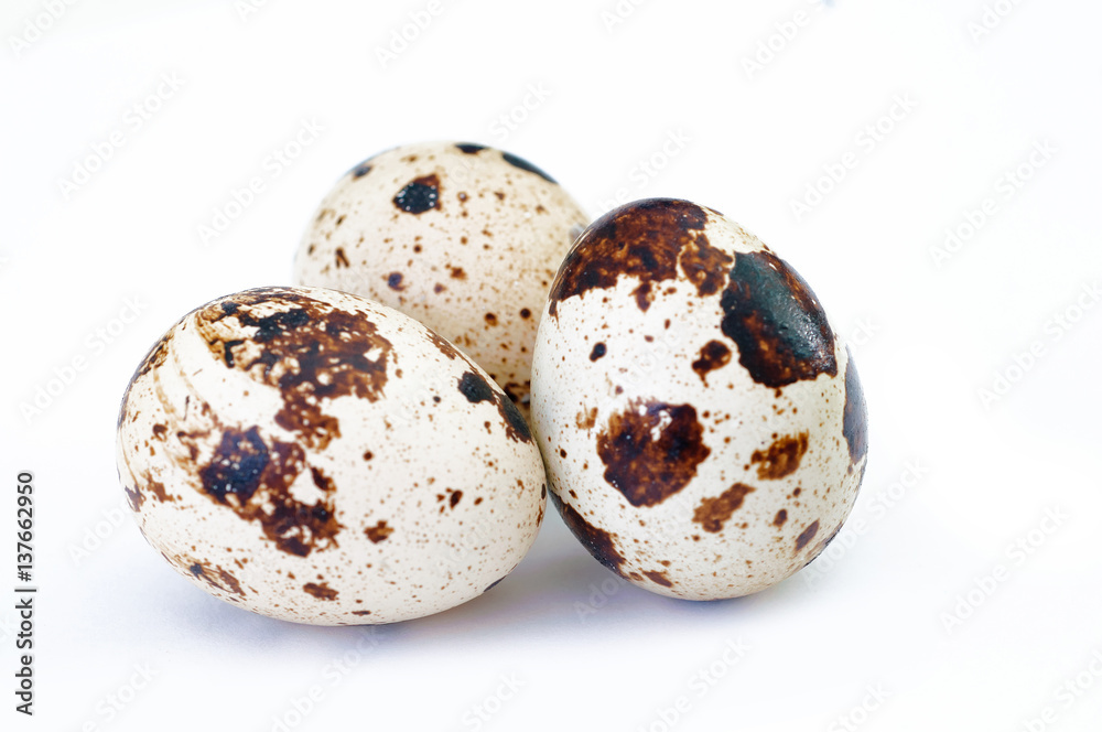 quail Eggs over white backdrop quail Eggs over white backdrop