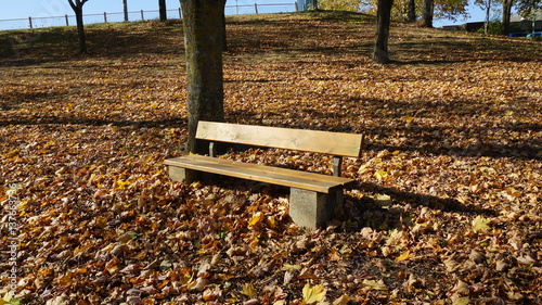 A lonely bench in an autumn leaves covered park