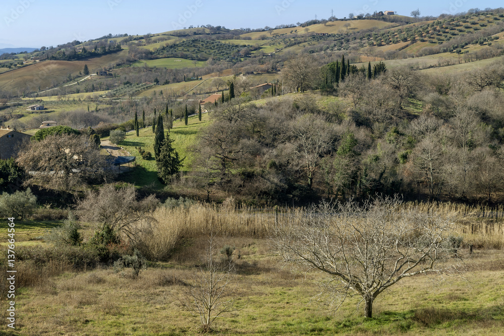 Superb panoramic view of the Tuscan Maremma countryside near Manciano, Grosseto, Toscano, Italy