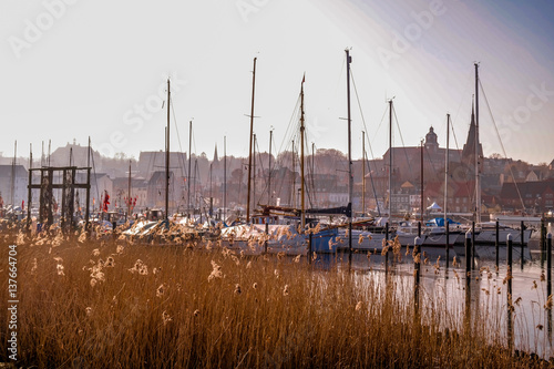boats lying in harbor behind reed