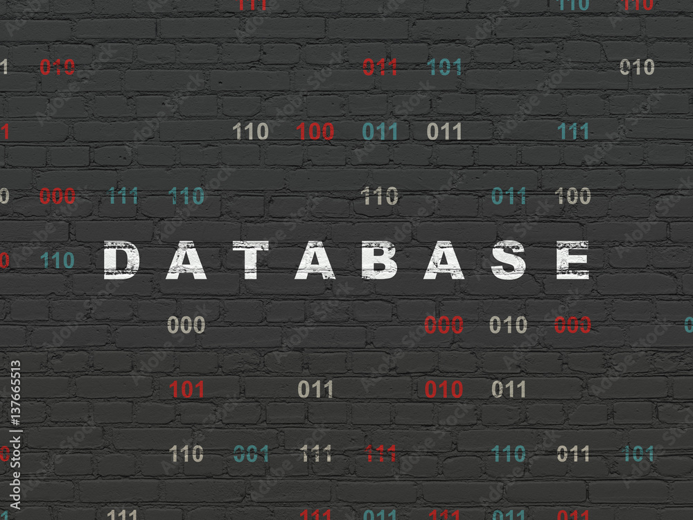 Software concept: Database on wall background Software concept: Database on wall background