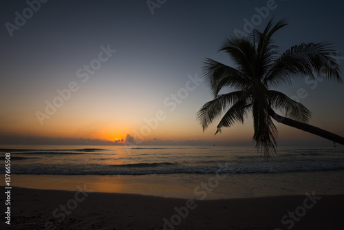 Fototapeta Naklejka Na Ścianę i Meble -  Beautiful sunset over tripical beach with coconut tree palm