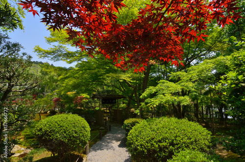                               Japanese garden  Kyoto Japan