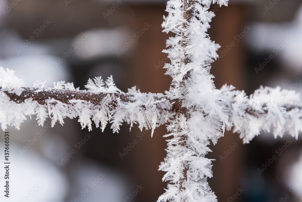 Obraz premium Rusty wire fence covered with frost and hoarfrost with blurred background in the winter