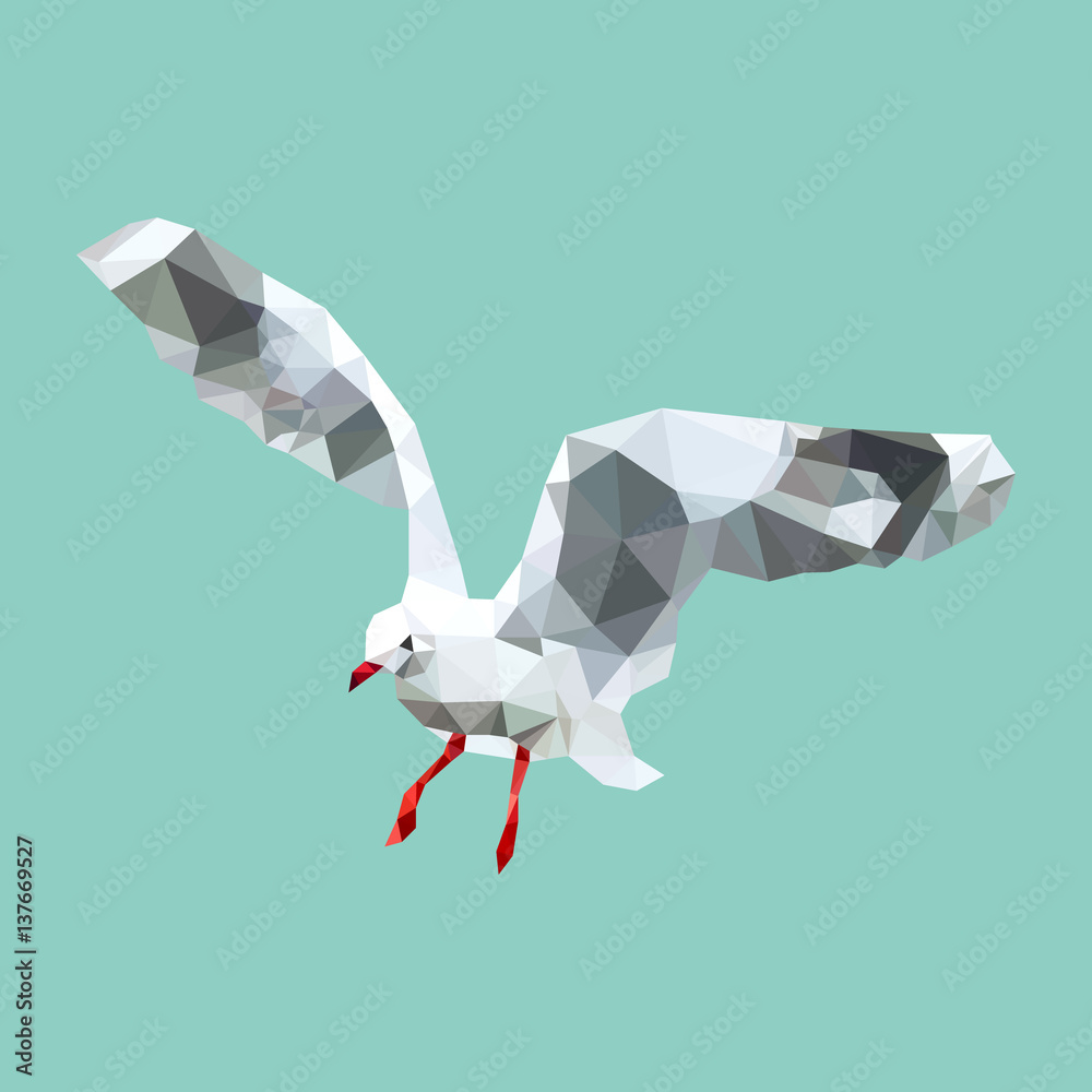 Fototapeta premium polygonal seagull, geometric polygon bird, isolated vector animal