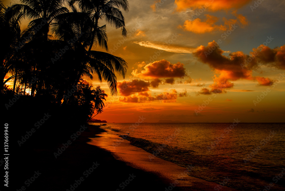 Sunset