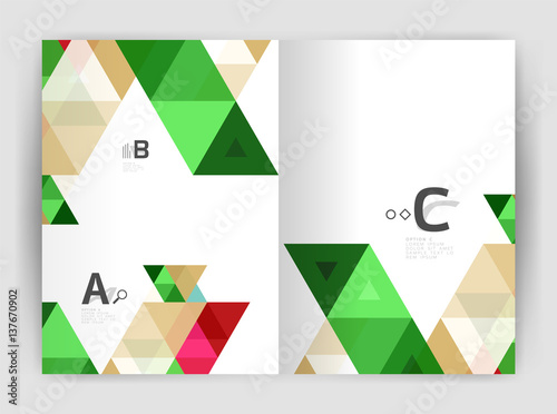 Print template modern elegant background triangle annual report