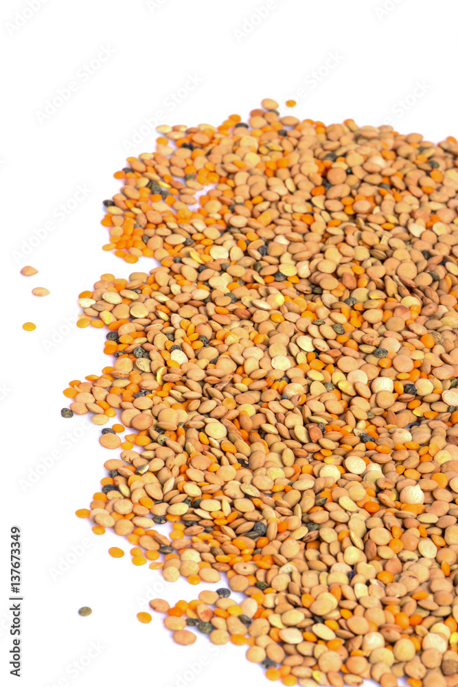 fruits lentils isolated on white background fruits lentils isolated on white background