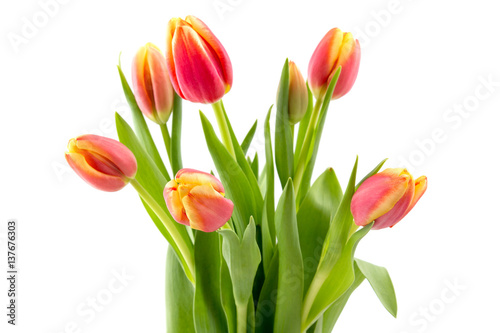 Fototapeta Naklejka Na Ścianę i Meble -  Tulip flowers bouquet for mothers day