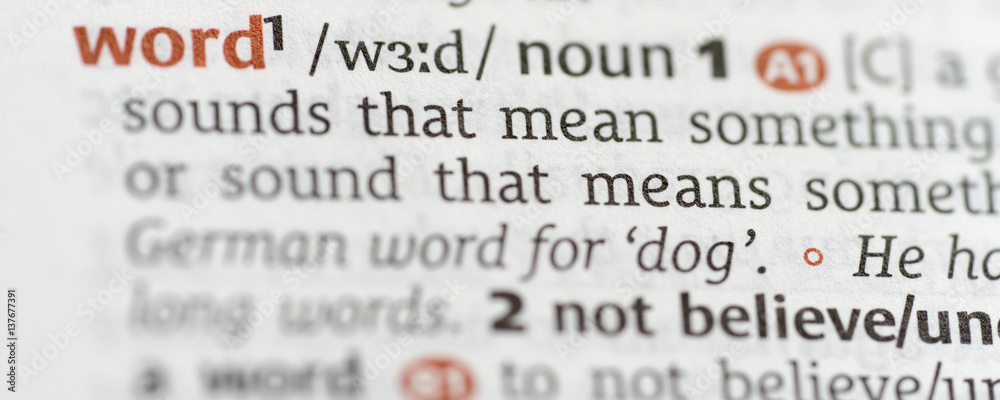 Fototapeta premium Dictionary showing the word noun